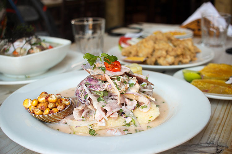 2016Summer-Fallon-TrujilloCeviche-750p