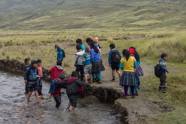 Image of Huayna Ausangate children in a river and some standing in a grass area as they search for marbled water frogs.