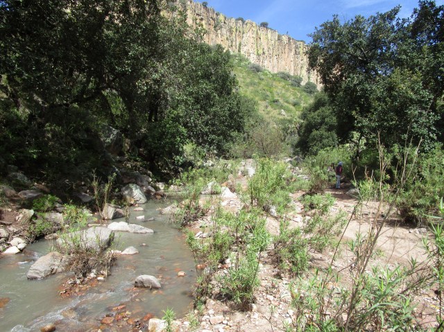 A stream in Aguascalientes, Mexico.