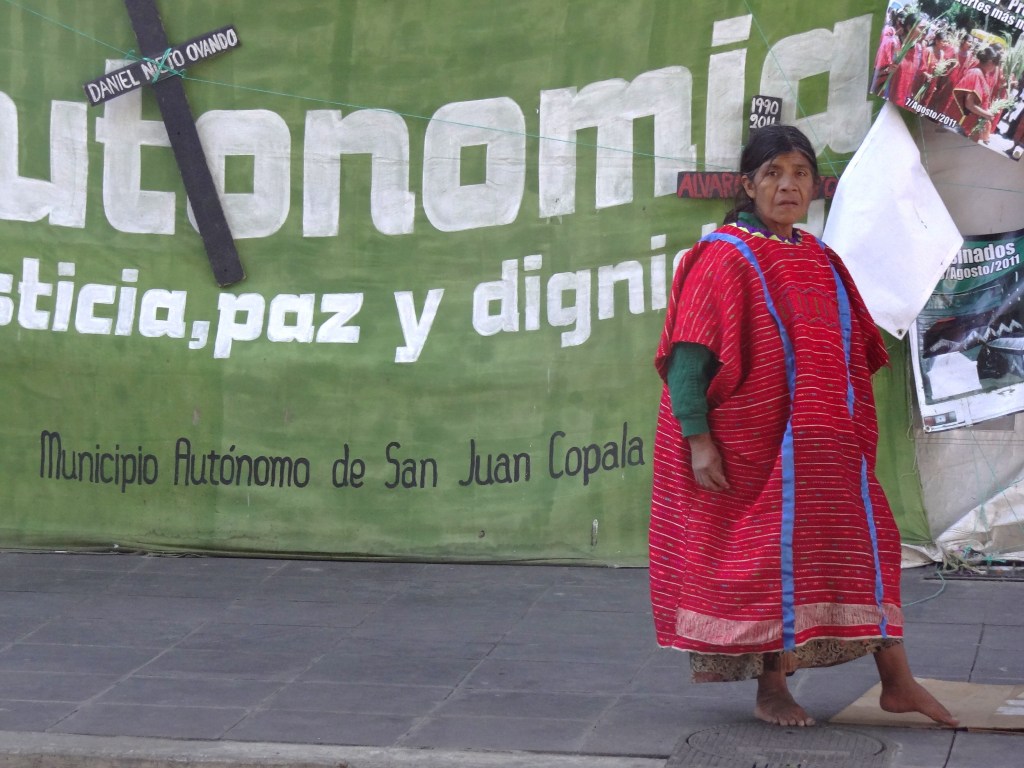 An Indigenous woman walks in front of a banner calling for autonomy in Oaxaca, 2011. (Photo by Adam Jones.)