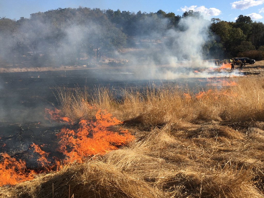 A controlled burn to mitigate fire risk in California.