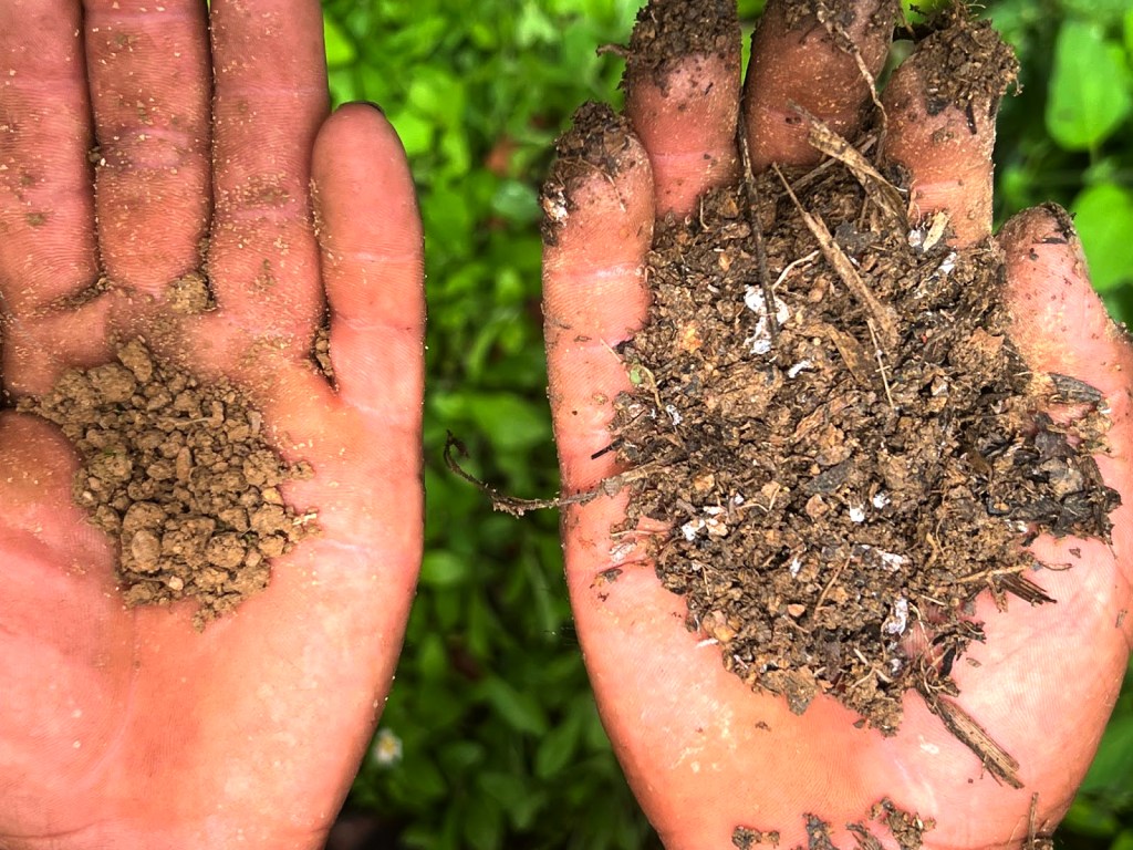 Manos sosteniendo dos tipos de tierra: la mano izquierda muestra tierra seca y granulada, mientras que la mano derecha sostiene tierra más rica y orgánica, con restos de materia vegetal.