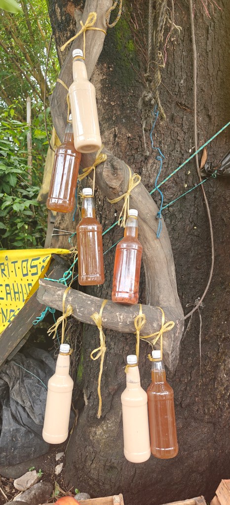 A collection of glass bottles filled with different colored liquids, hanging from a wooden branch against a tree backdrop.
