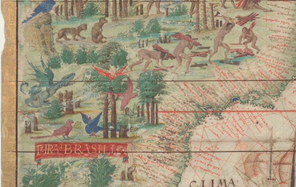 An illustrated map of Brazil featuring diverse wildlife and indigenous people gathering wood, surrounded by lush forests and vibrant flora.